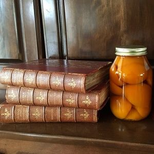 Home or Office Decor - Unique Antique Books!!!